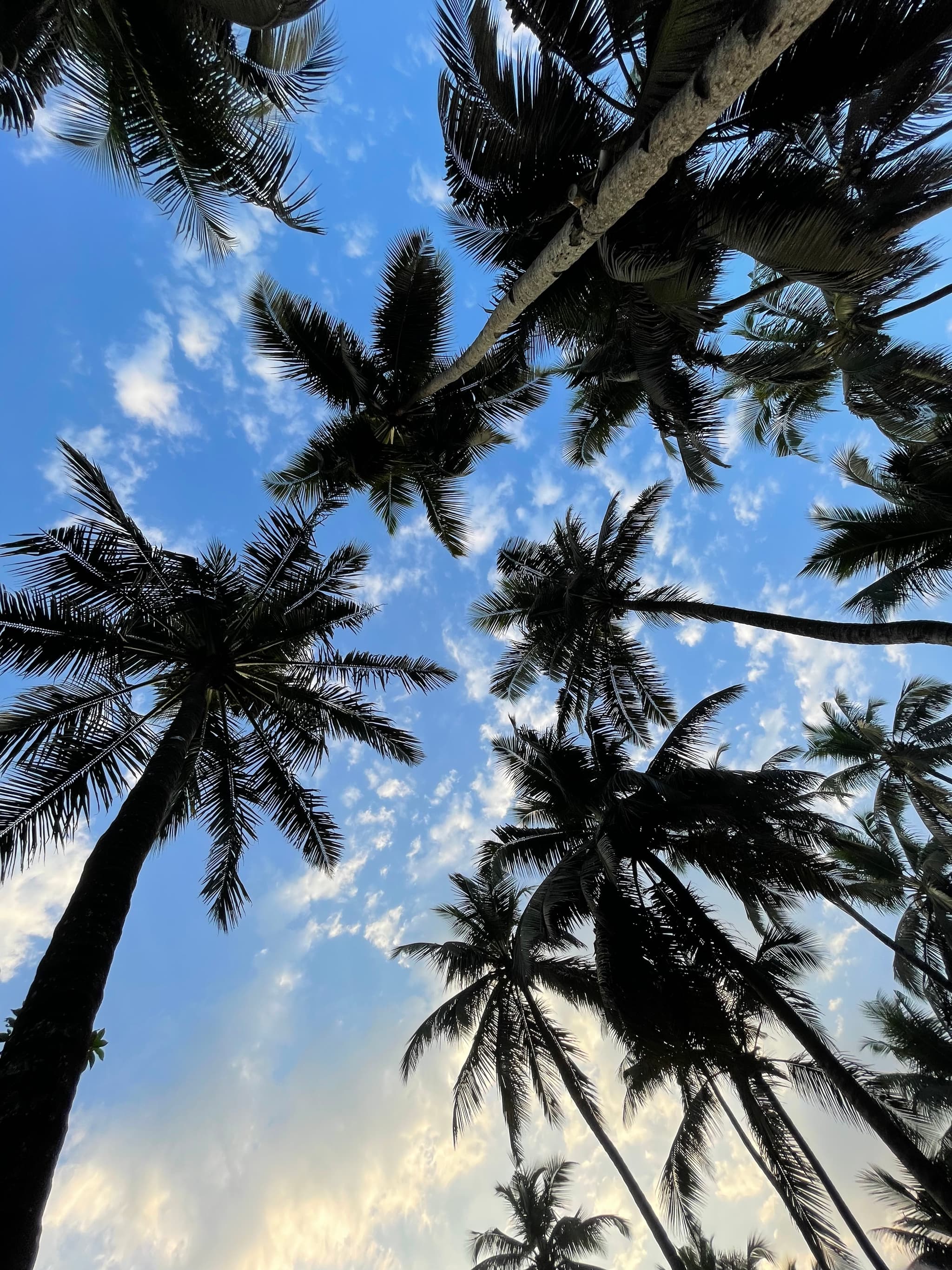 landscape photograph by Maahir Garg
